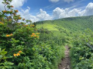 a trail winds through rolling hills in Linville NC